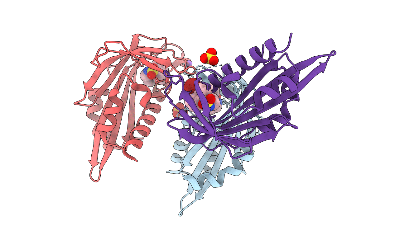 3NJO image