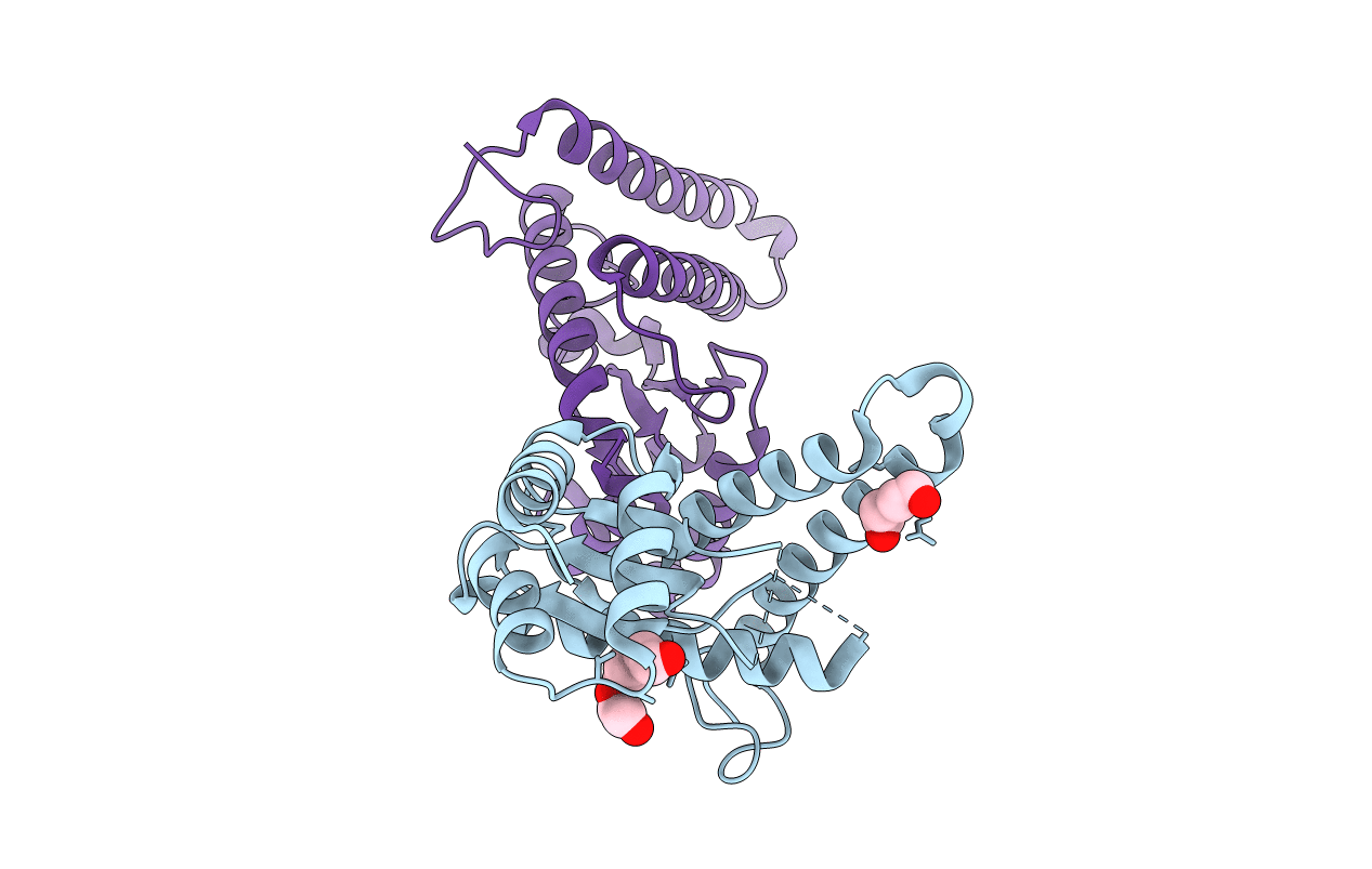 3NKU image