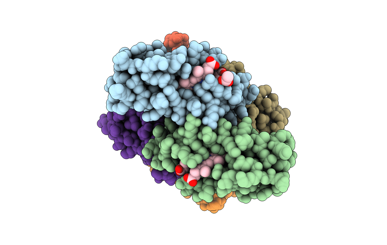 3NMI image