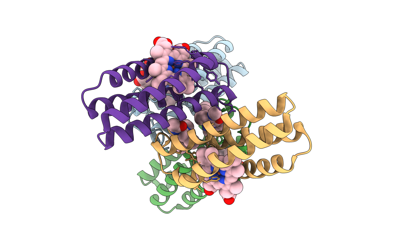3NMJ image