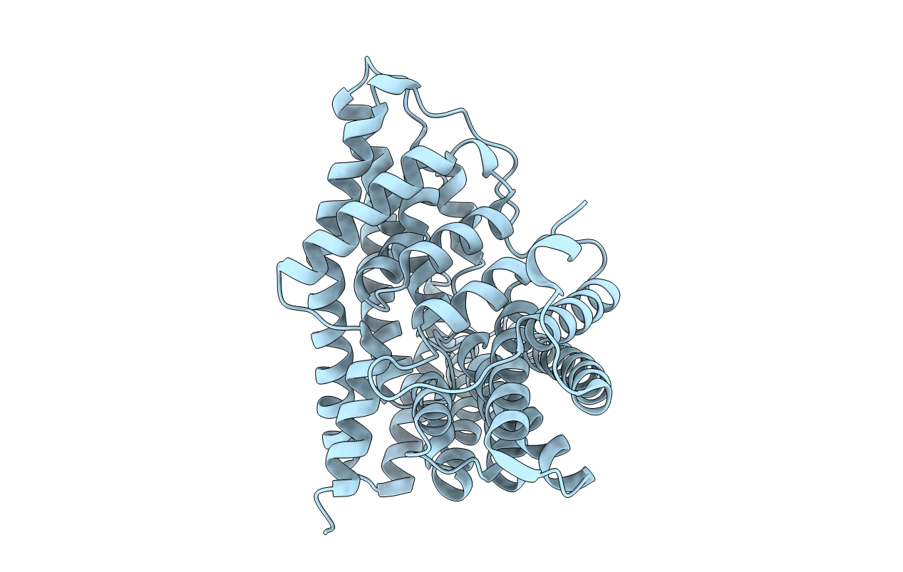 3NMO image
