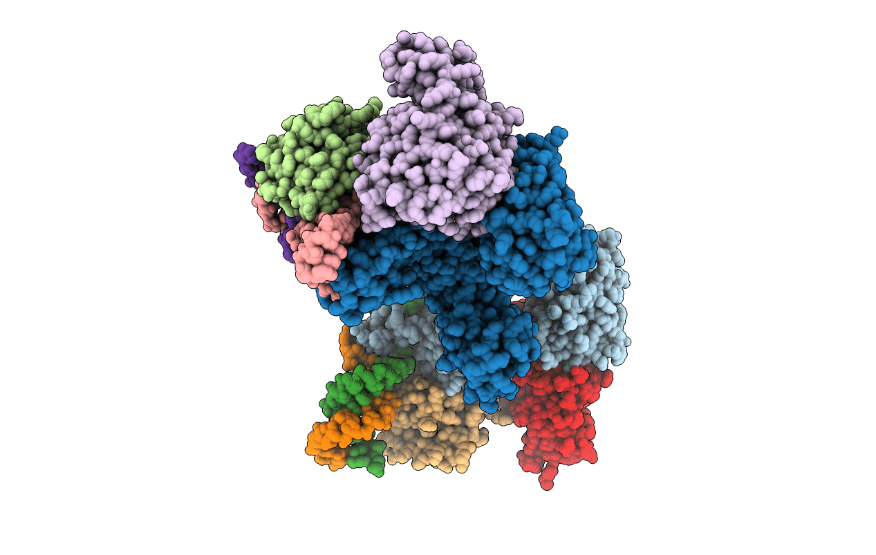 3NMU image