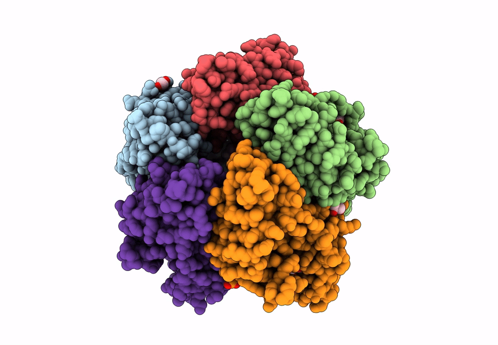 3NN2 image