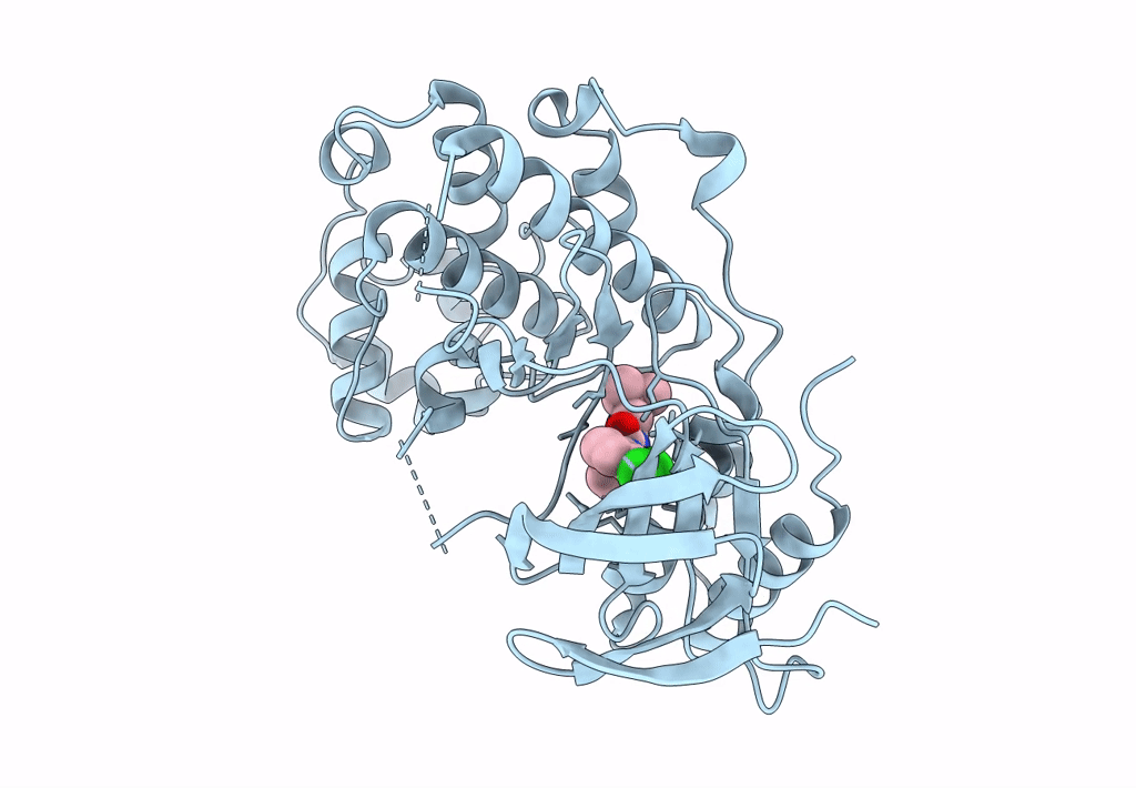 3NNX image