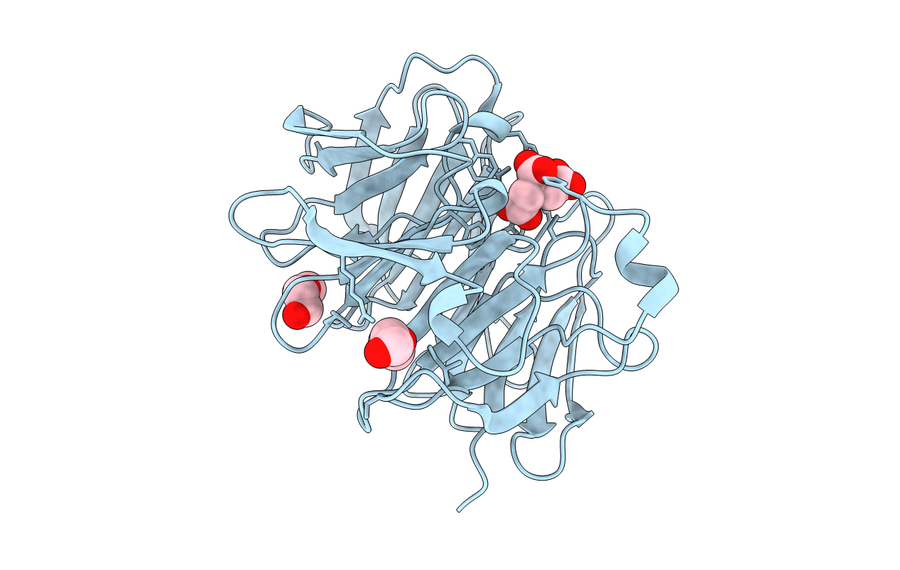 3NO2 image