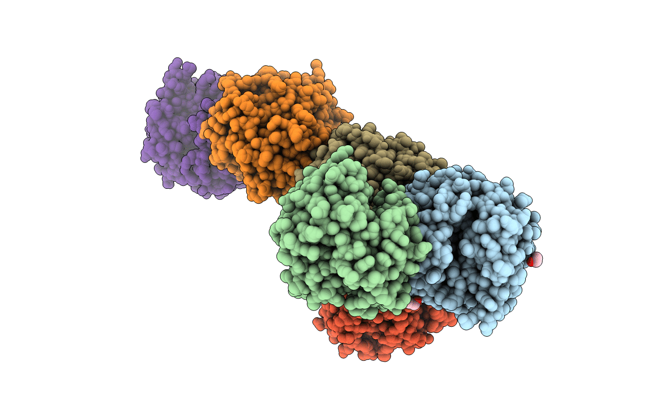 3NO5 image