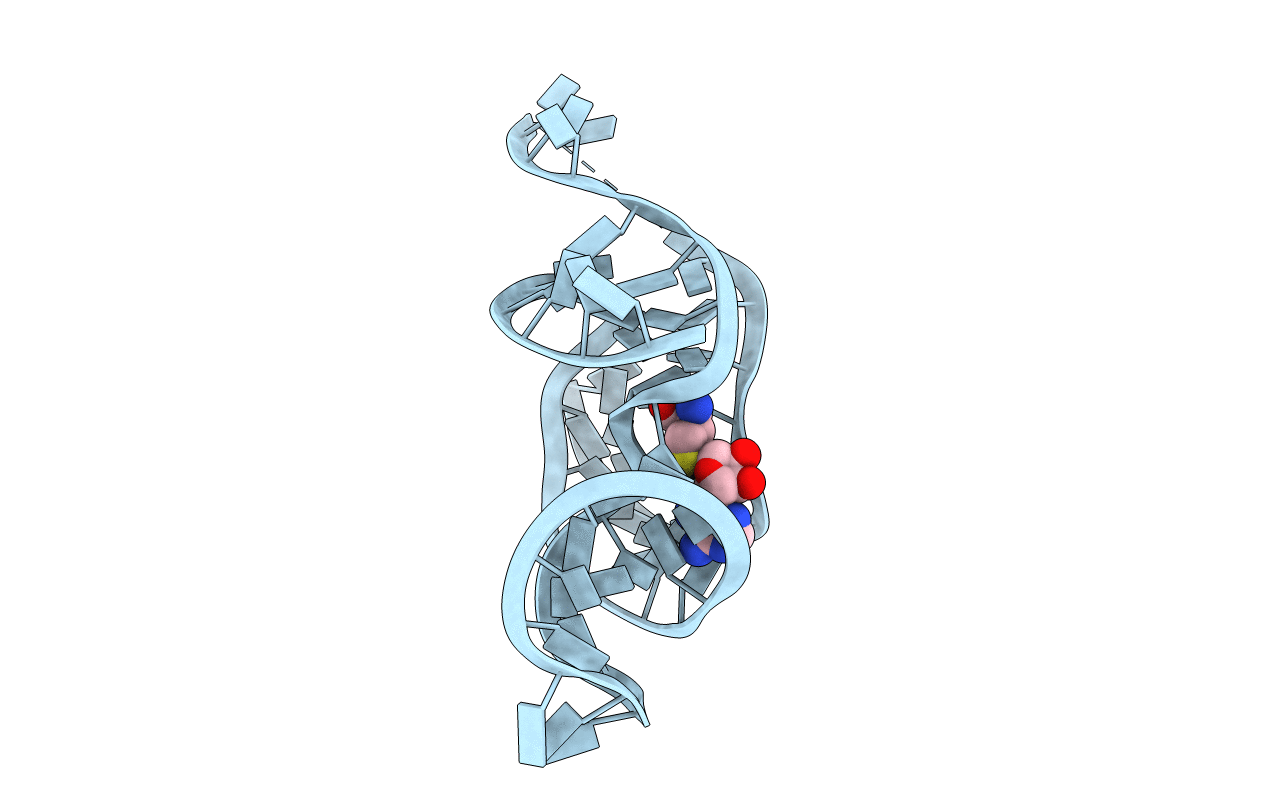 3NPN image