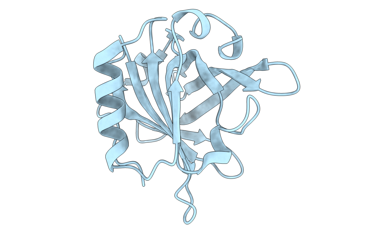 3NPO image
