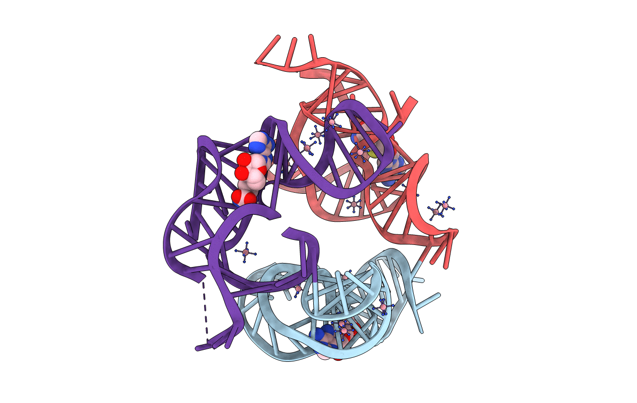 3NPQ image