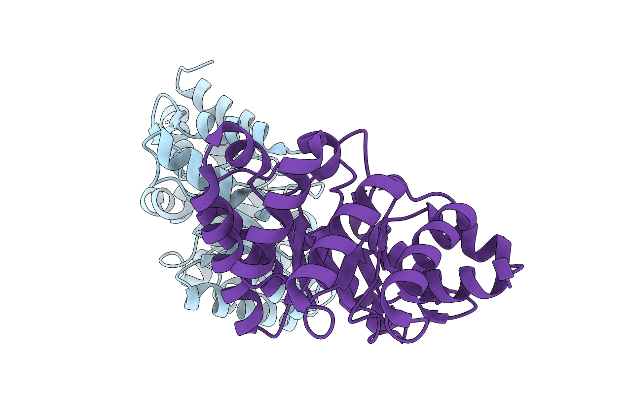 3NPV image