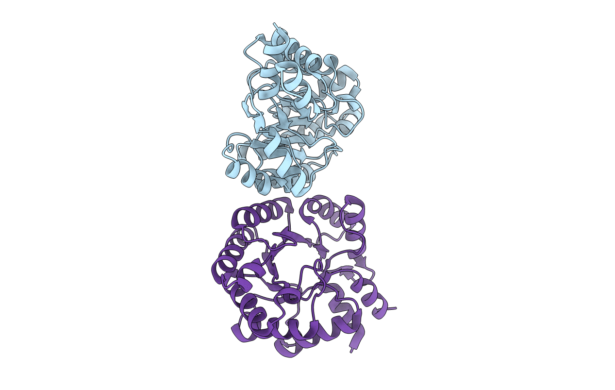 3NPX image