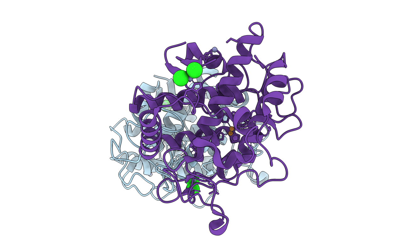 3npy image