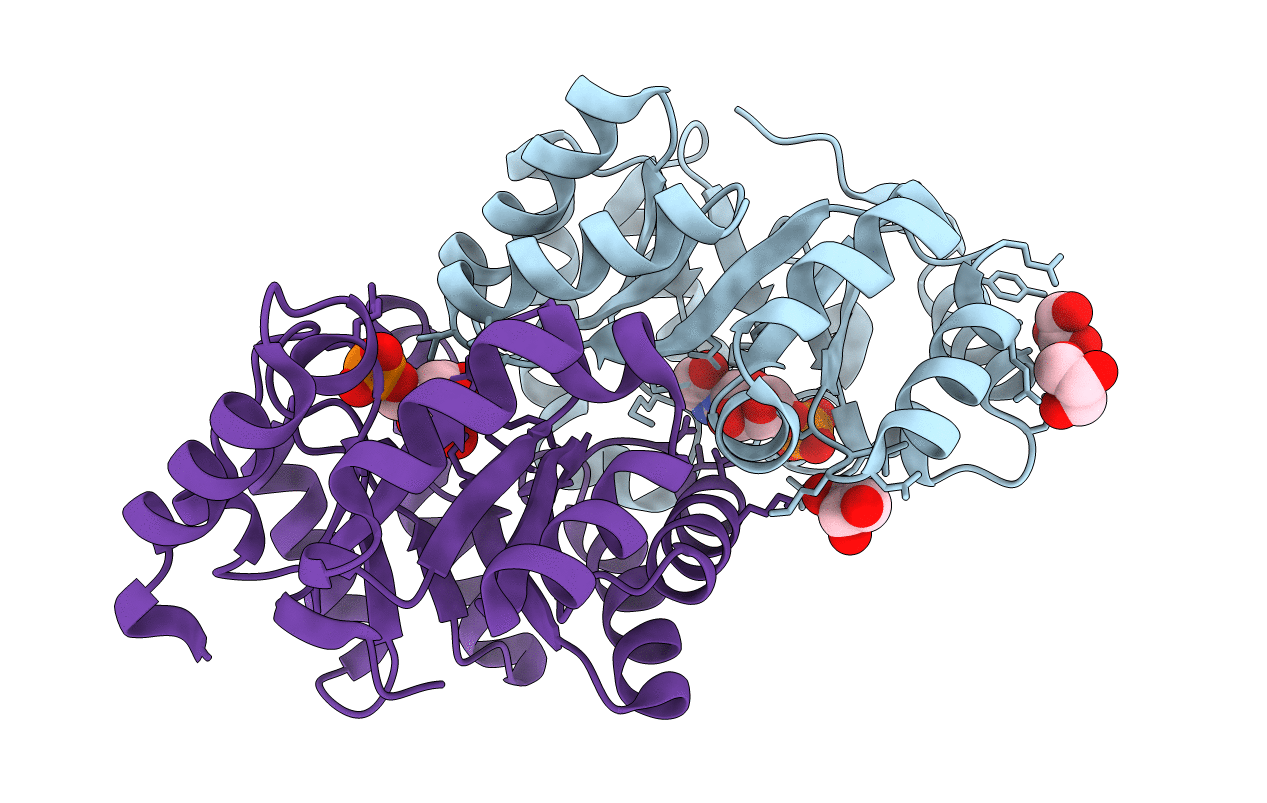 3NQM image