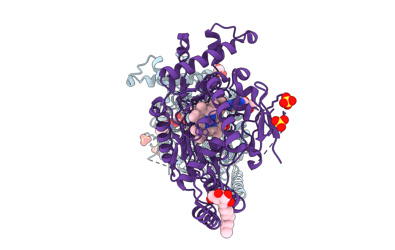 3NQS image