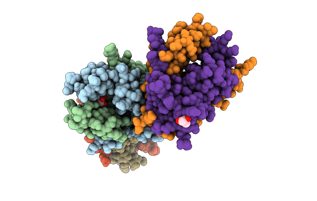 3NRT image