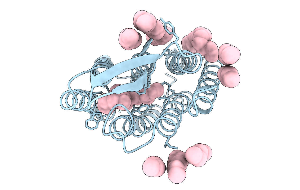 3NSB image