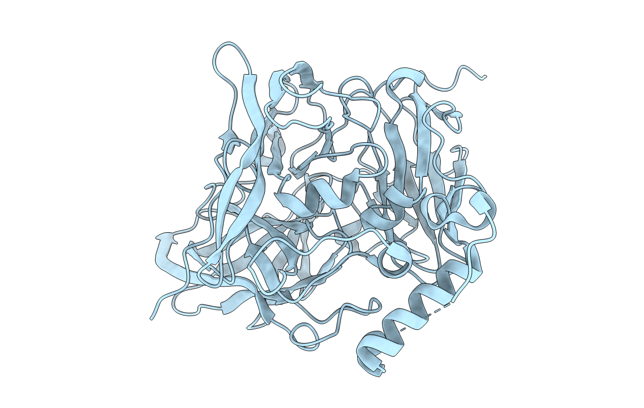 3NSF image