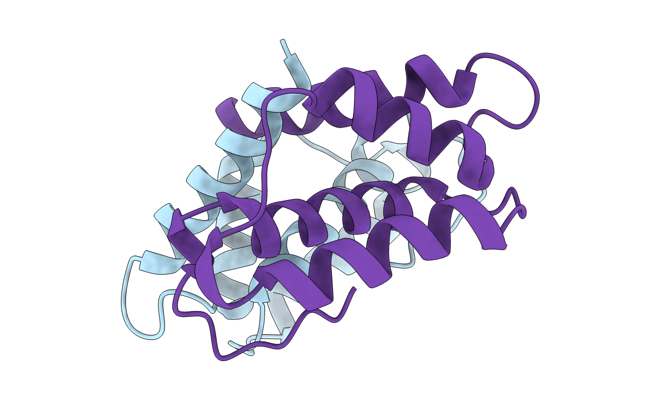 3NSI image