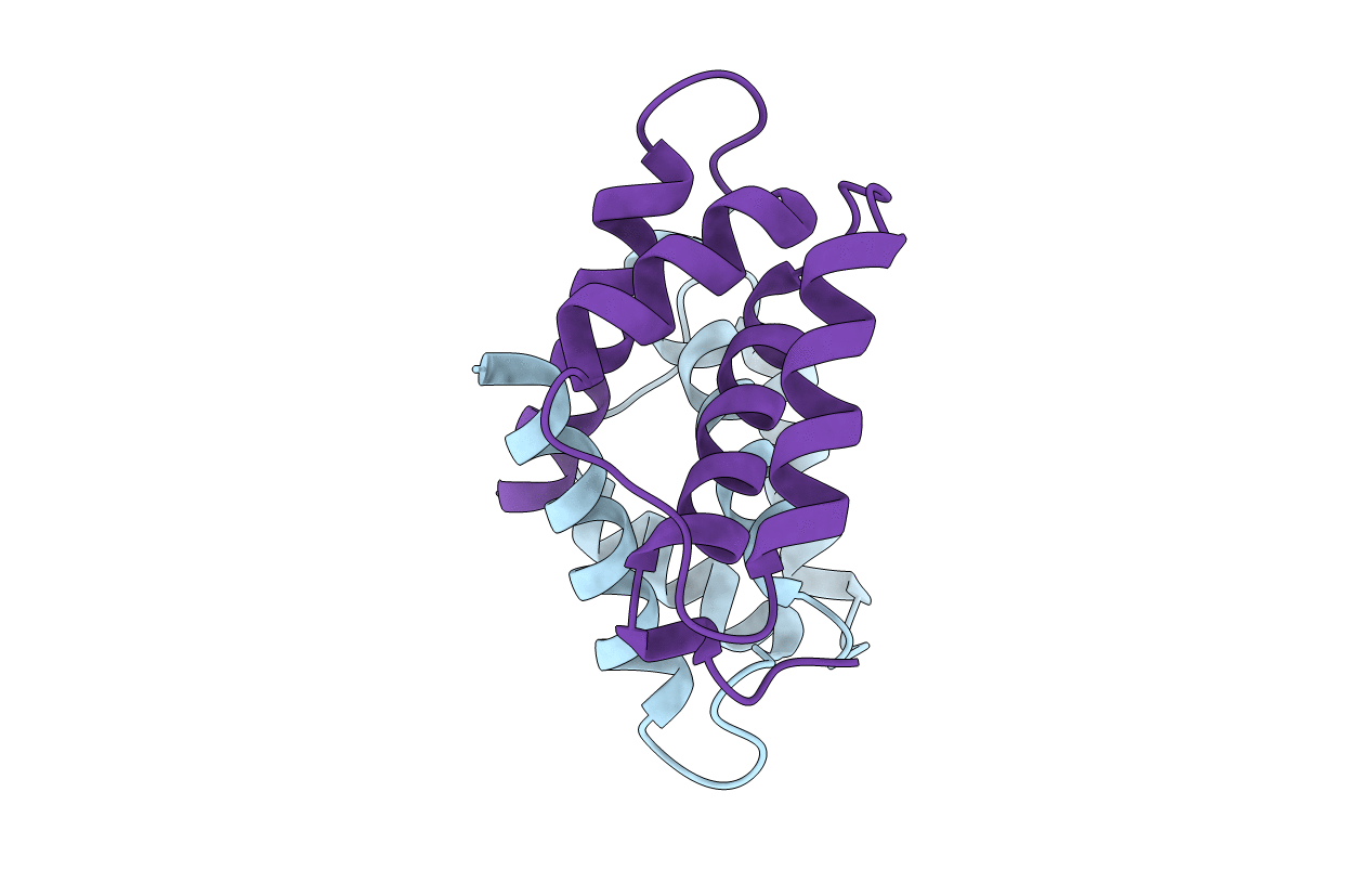 3NSK image