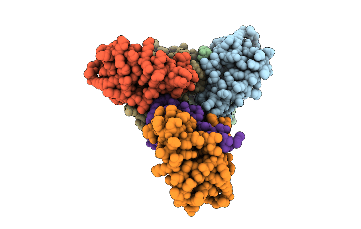 3NSL image