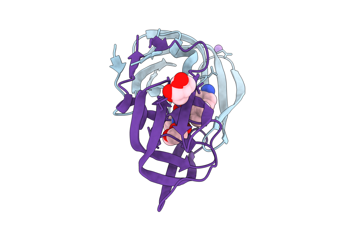 3NU3 image