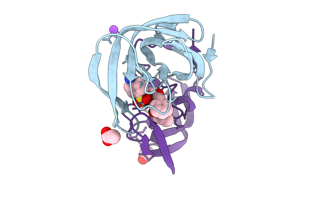 3NU6 image