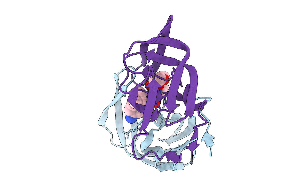 3NUO image