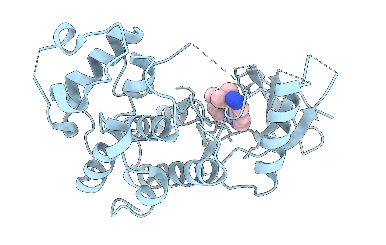 3NUP image