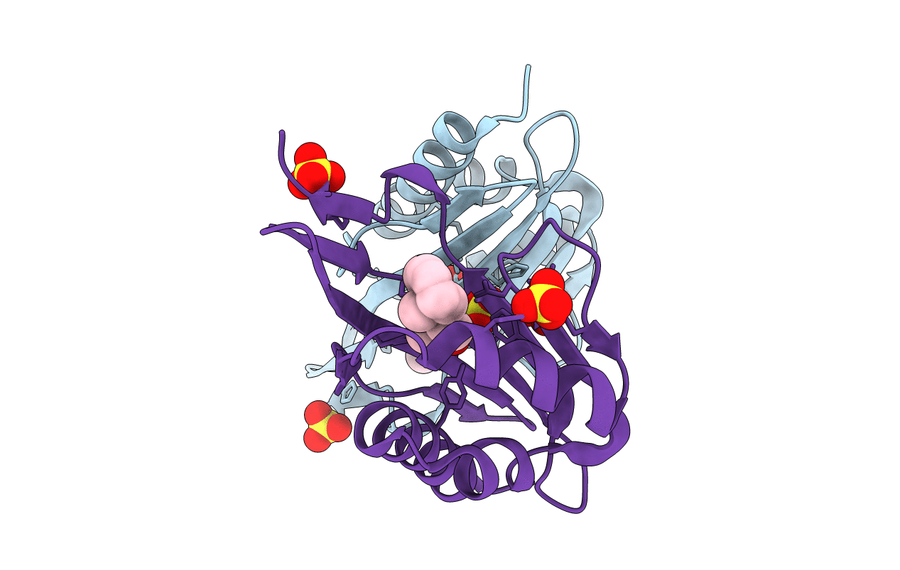 3NUV image