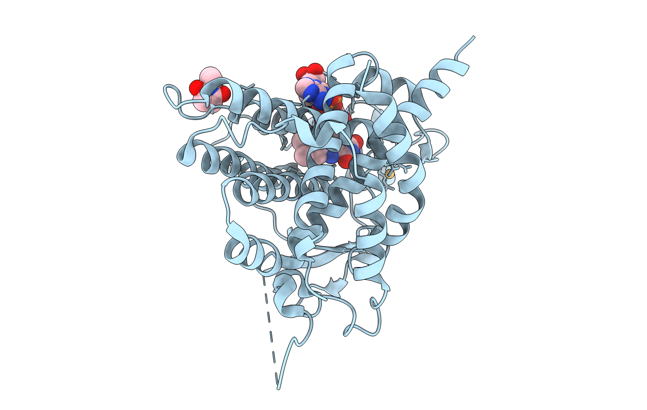 3NVJ image