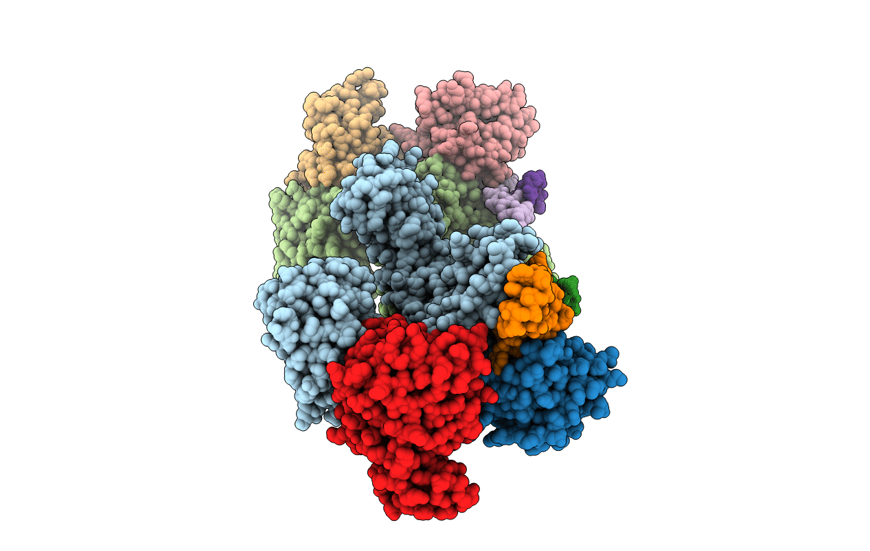 3NVK image