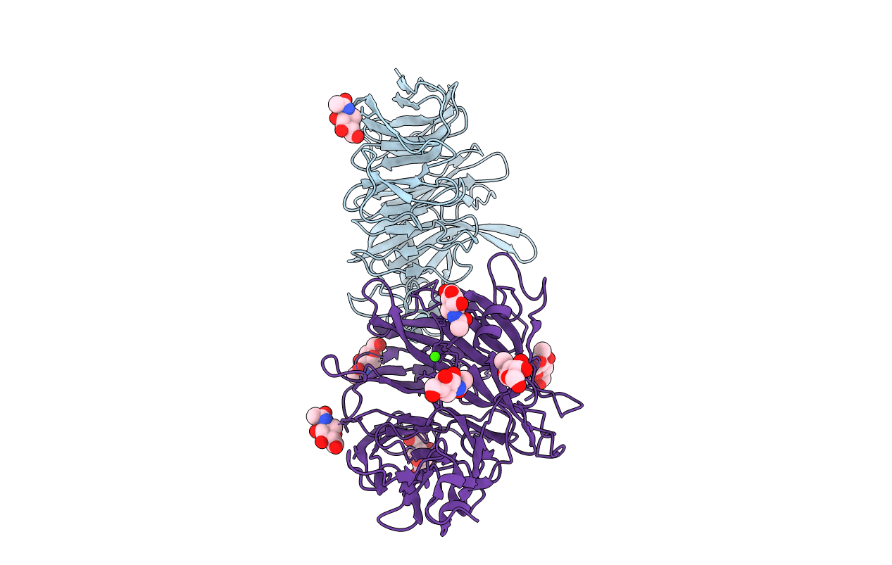 3NVN image