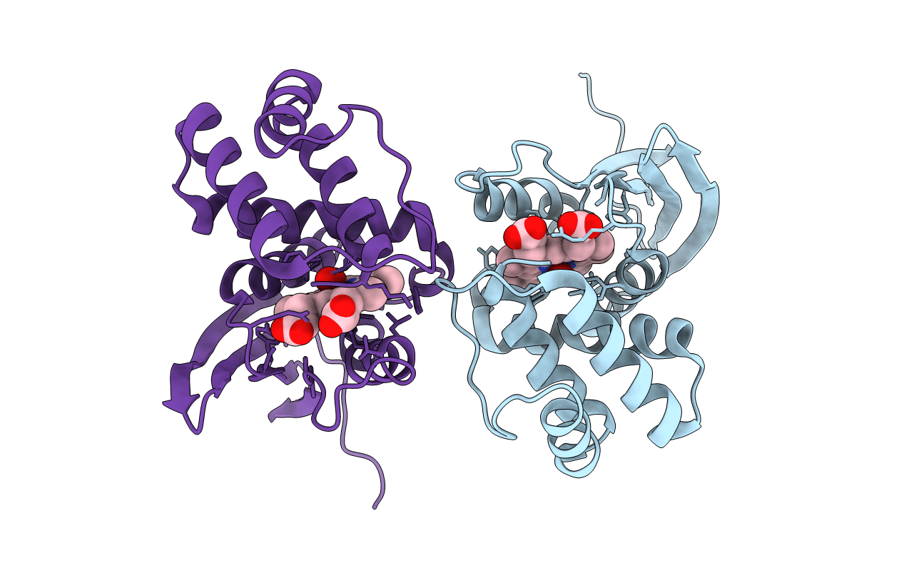 3NVU image