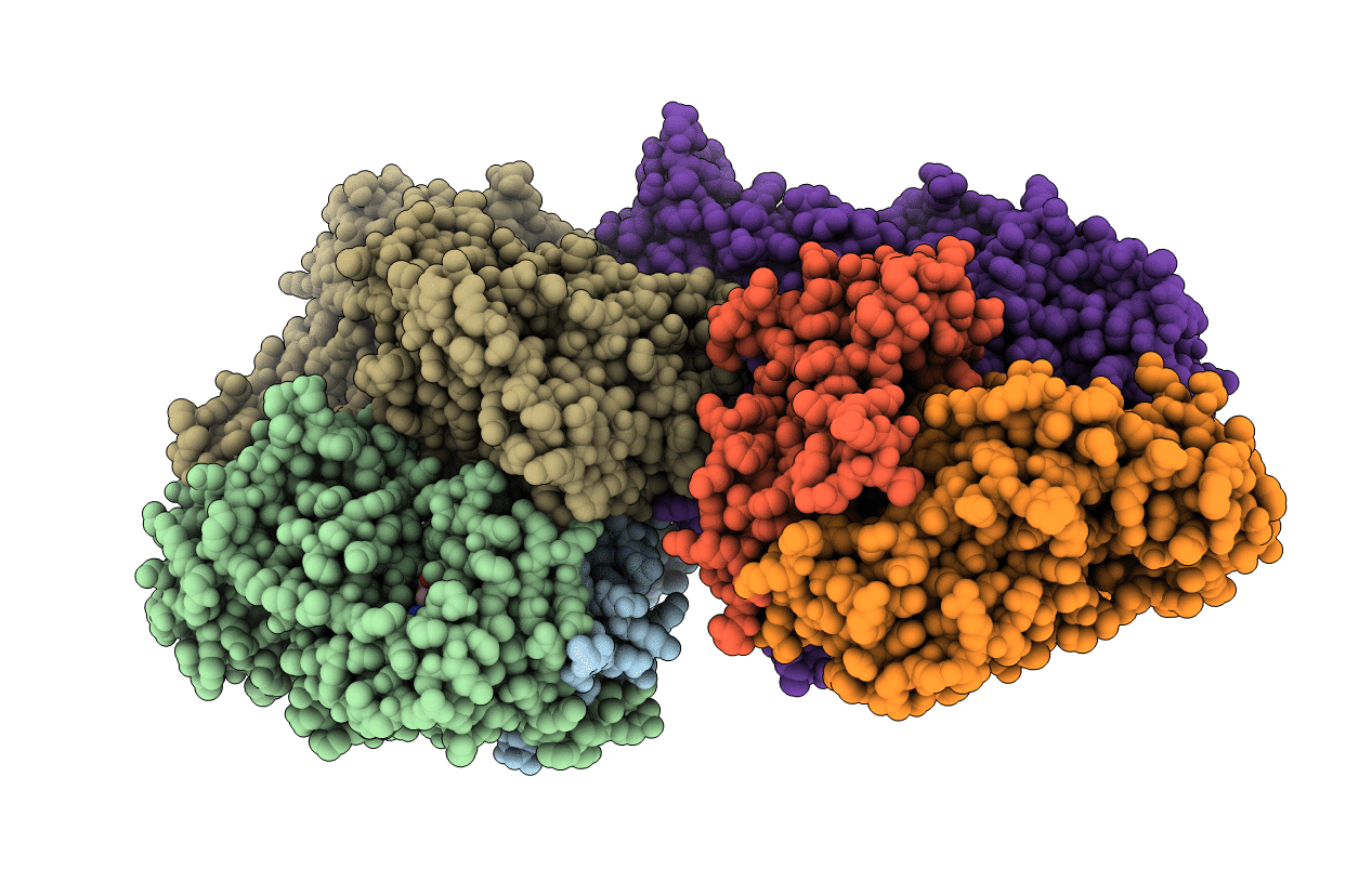 3NVV image