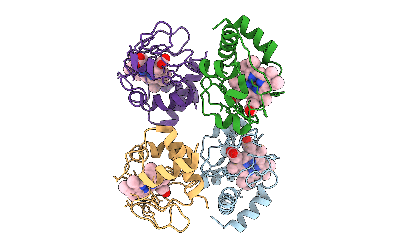 3NWV image