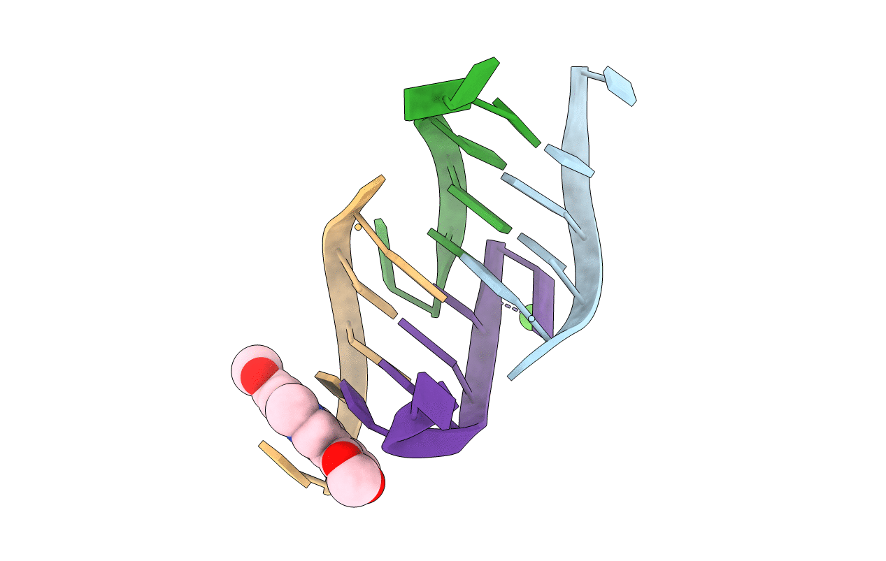 3NX5 image