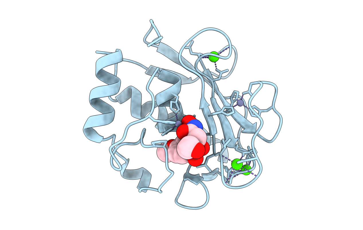 3NX7 image
