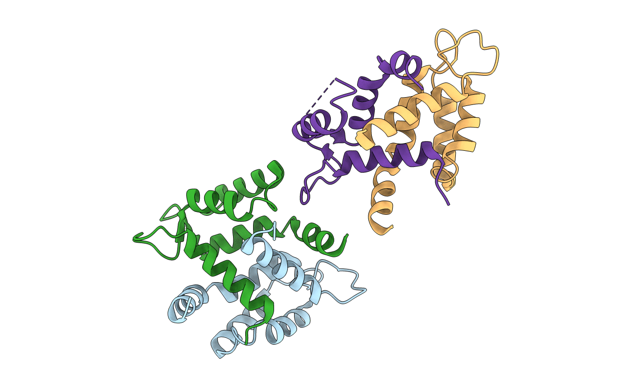 3NXA image