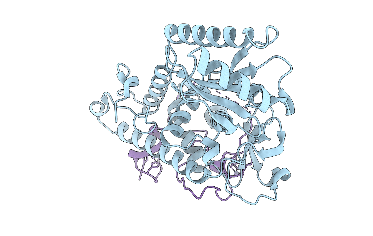 3NYB image