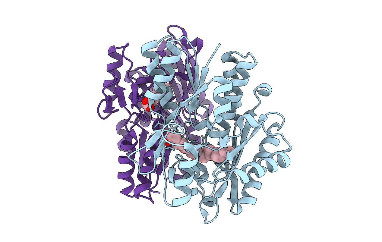 3NYI image