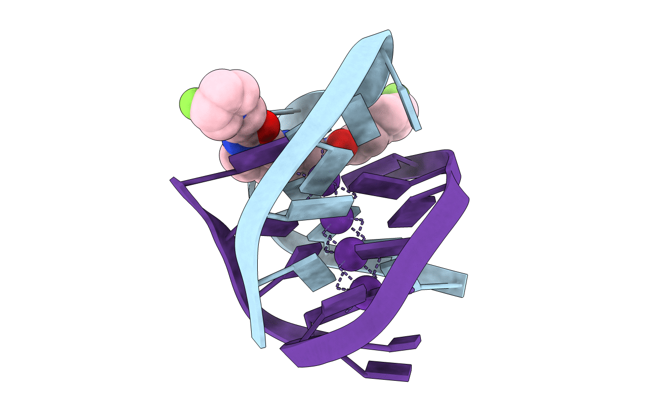 3NYP image