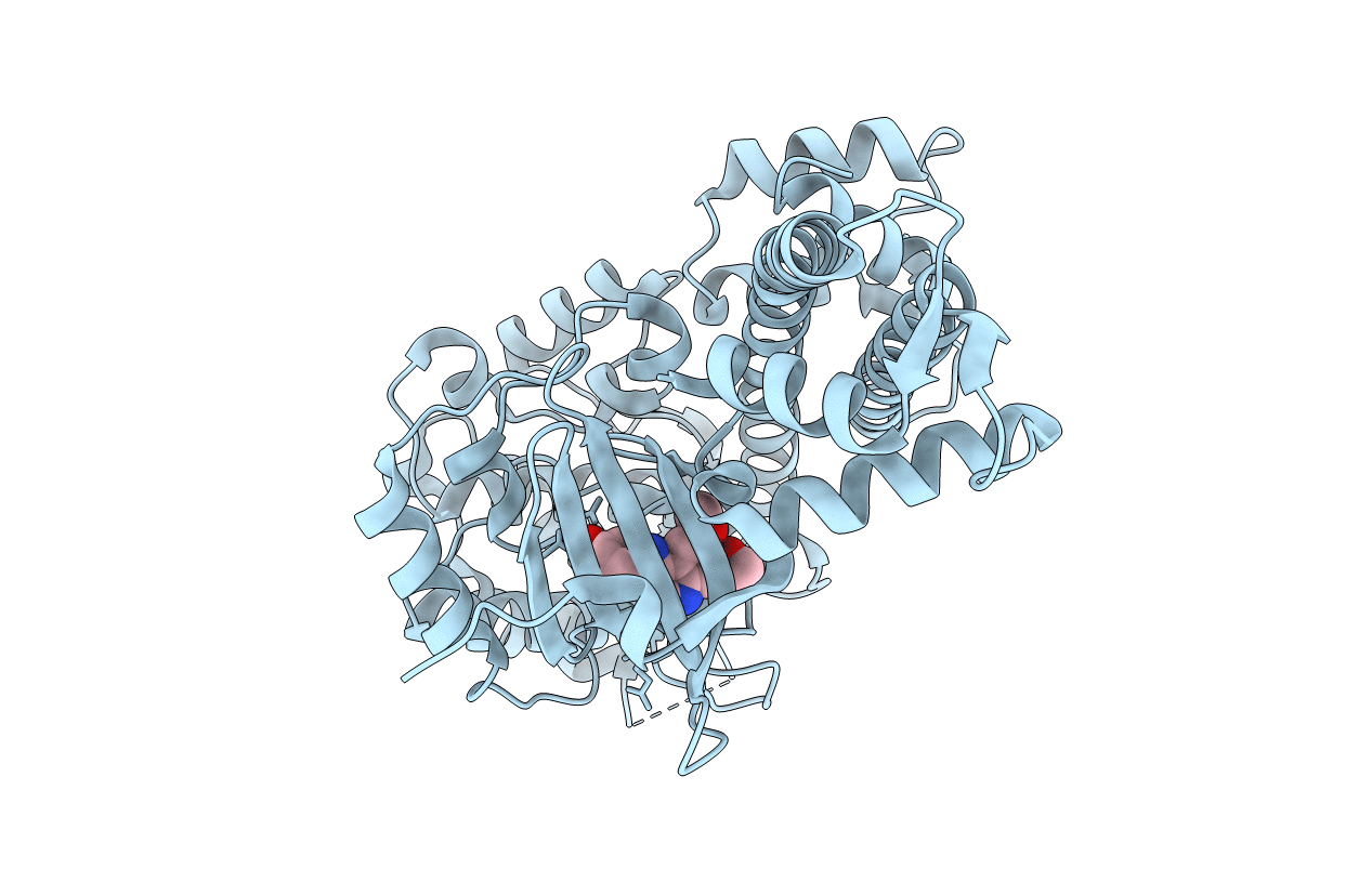 3NYV image