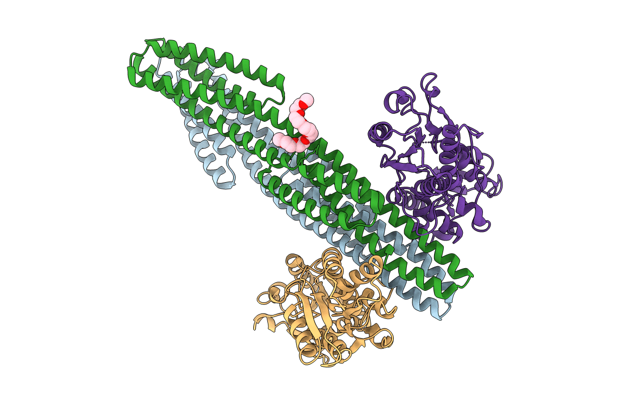 3O1I image