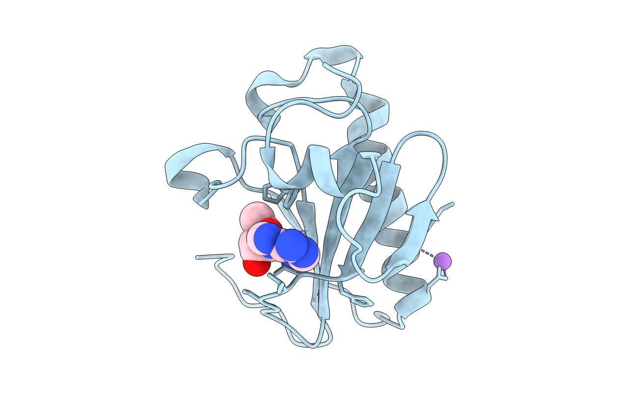 3O1X image