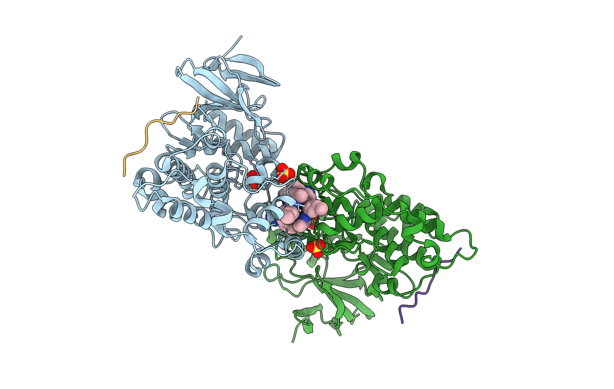3O2M image