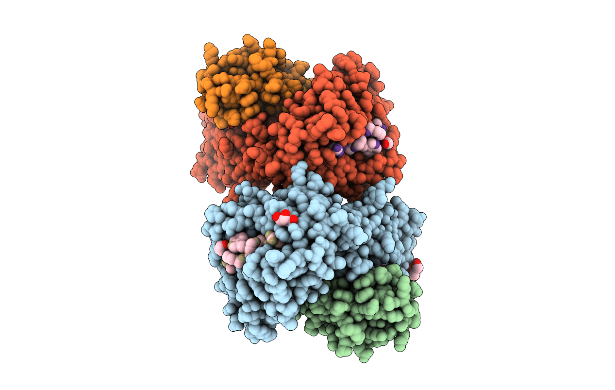 3O3B image