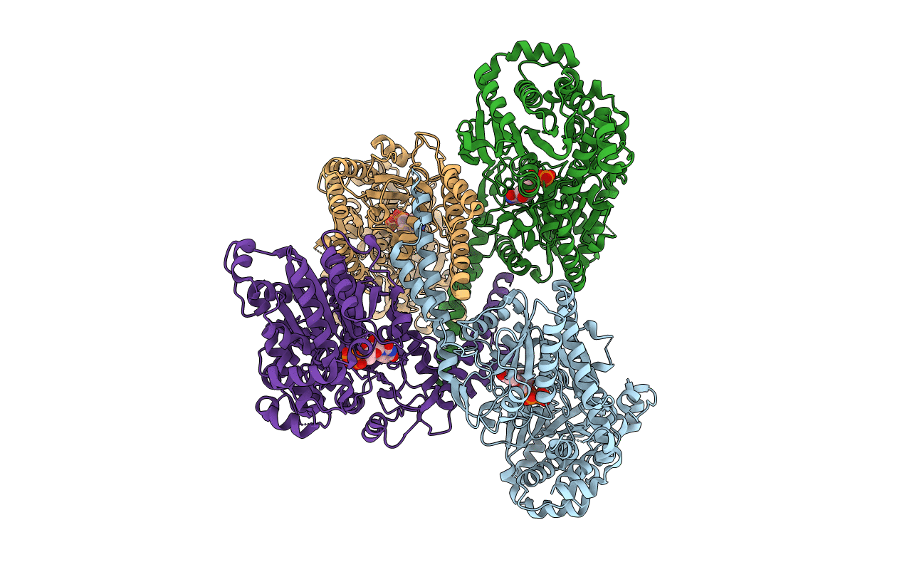 3O3C image