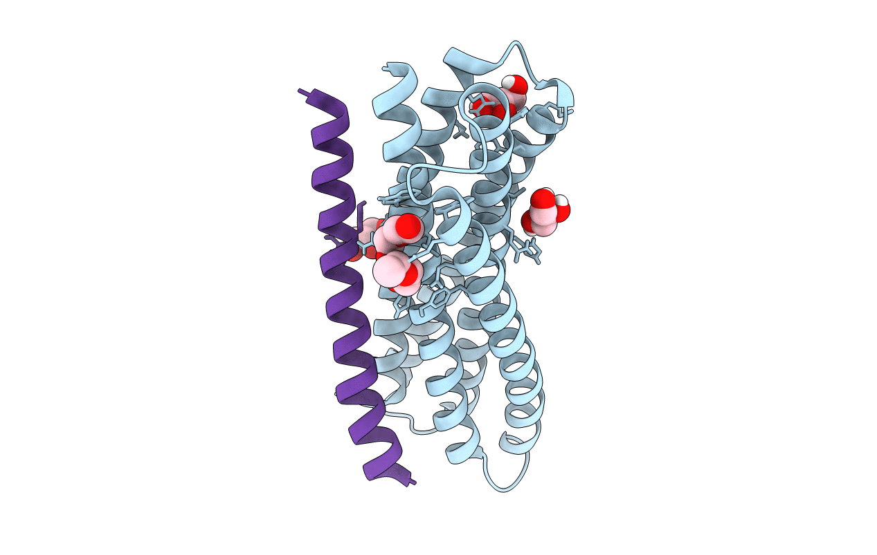 3O40 image