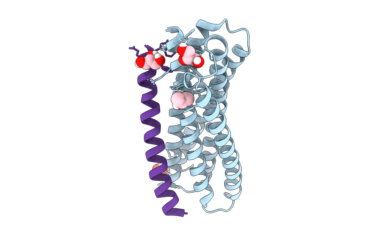 3O43 image