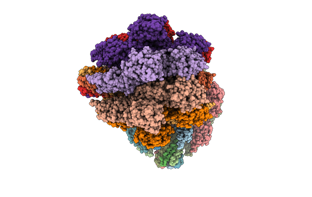 3O44 image